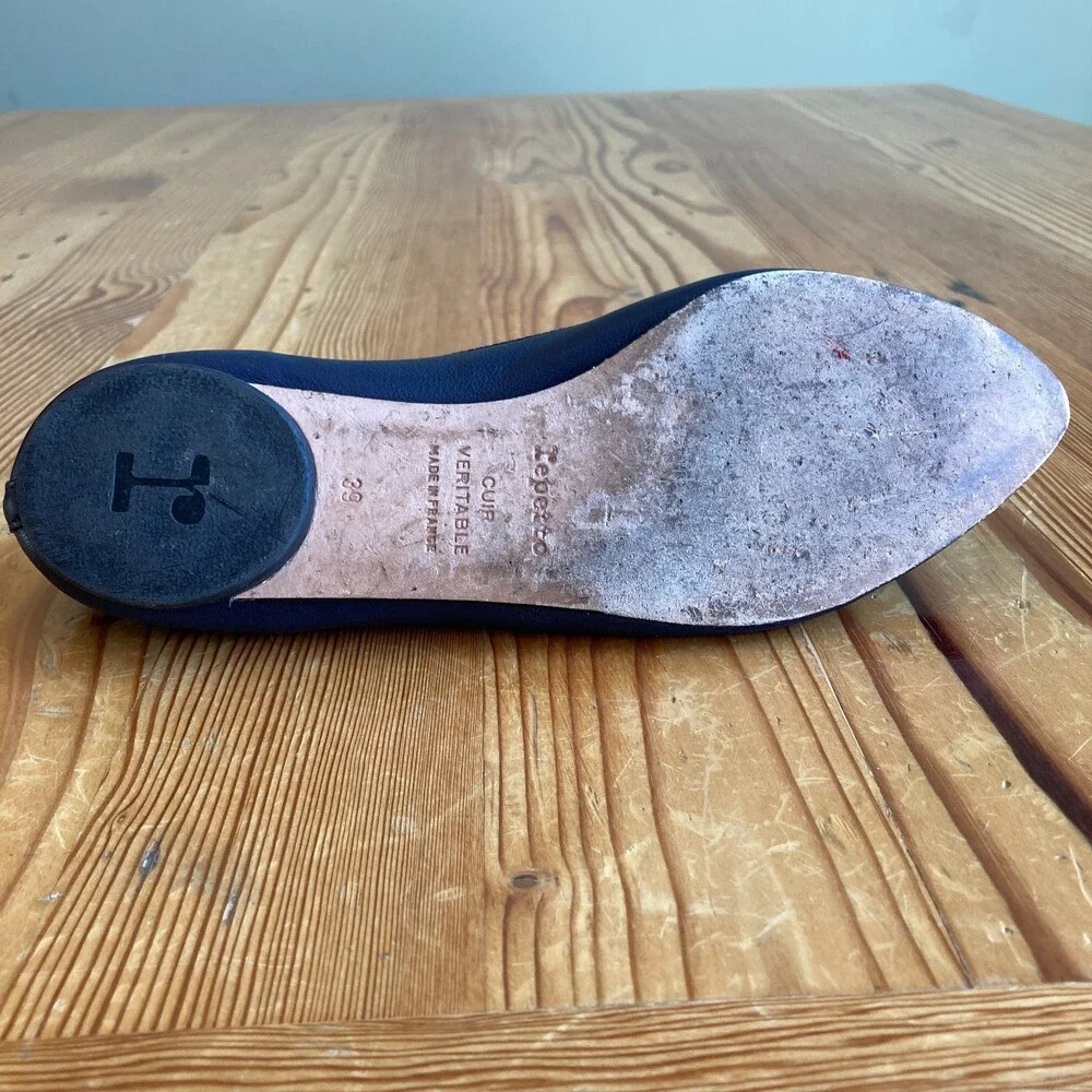 Repetto elegant pointed